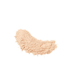 Loose Powder - N 41 - Translucent Extra Coverage